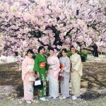 総理主催「桜を見る会」